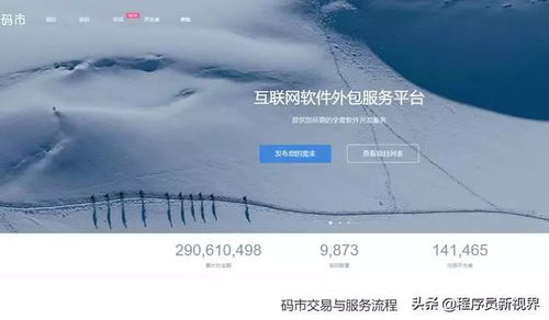 码市平台接单指南 CSDN软件开发者的高效变现路径